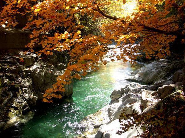 Kinryuen Numata (Gunma) Bagian luar foto